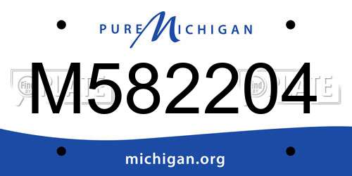 M582204 Michigan License Plate