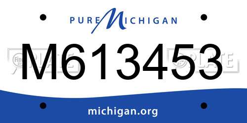 M613453 Michigan License Plate