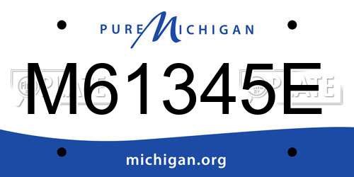 M61345E Michigan License Plate