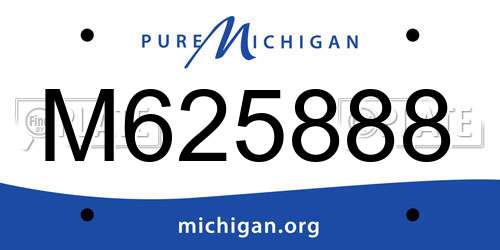 M625888 Michigan License Plate