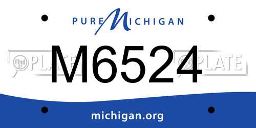 M6524 Michigan License Plate