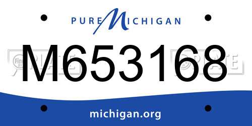 M653168 Michigan License Plate