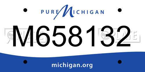 M658132 Michigan License Plate