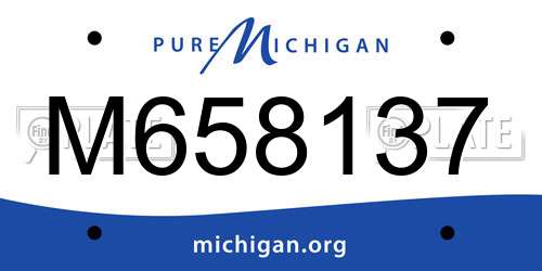 M658137 Michigan License Plate
