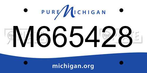 M665428 Michigan License Plate