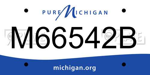 M66542B Michigan License Plate