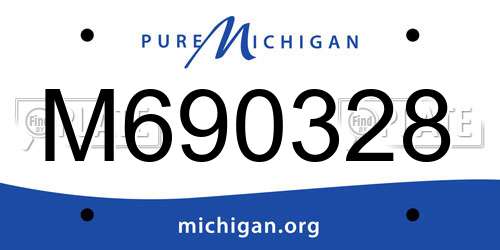 M690328 Michigan License Plate