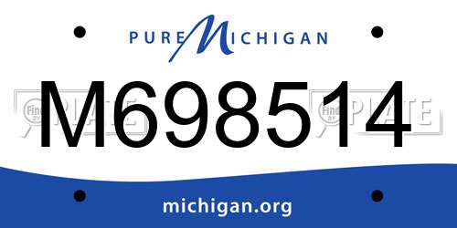 M698514 Michigan License Plate