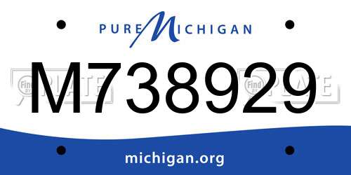 M738929 Michigan License Plate