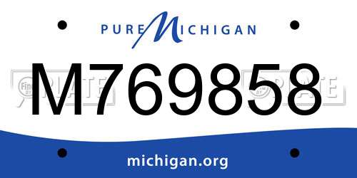 M769858 Michigan License Plate