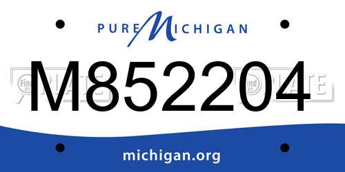 M852204 Michigan License Plate
