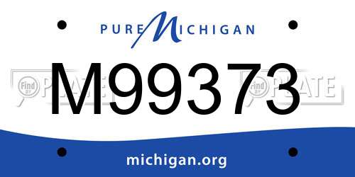 M99373 Michigan License Plate