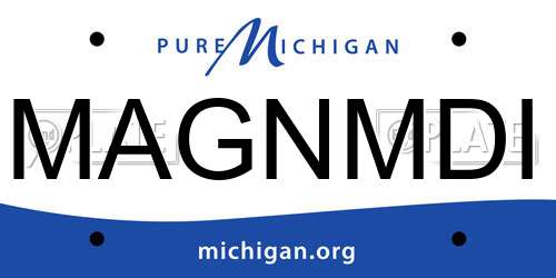 MAGNMDI Michigan License Plate