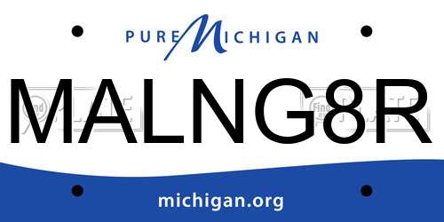MALNG8R Michigan License Plate