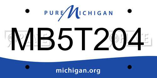 MB5T204 Michigan License Plate