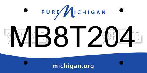 MB8T204 Michigan License Plate