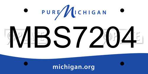 MBS7204 Michigan License Plate