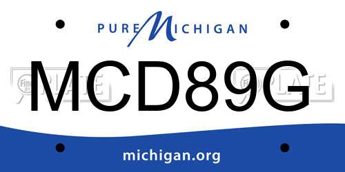 MCD89G Michigan License Plate
