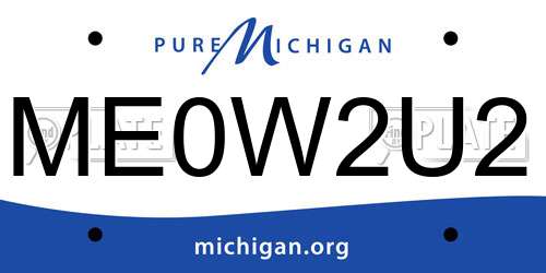 ME0W2U2 Michigan License Plate