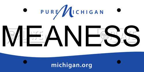 MEANESS Michigan License Plate