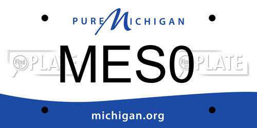 MES0 Michigan License Plate
