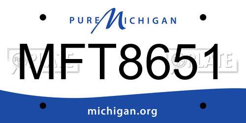 MFT8651 Michigan License Plate