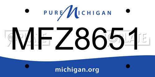 MFZ8651 Michigan License Plate