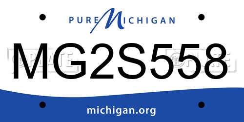 MG2S558 Michigan License Plate