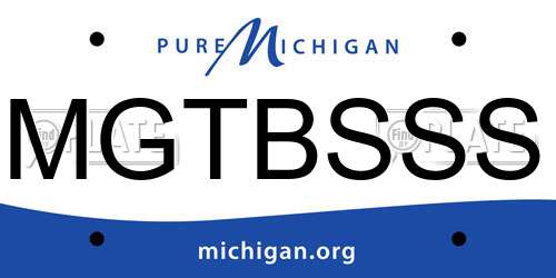 MGTBSSS Michigan License Plate