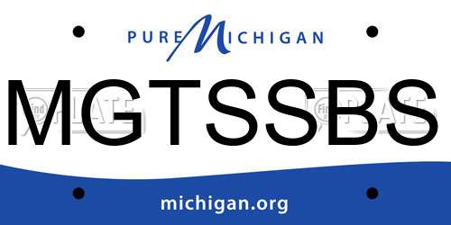 MGTSSBS Michigan License Plate
