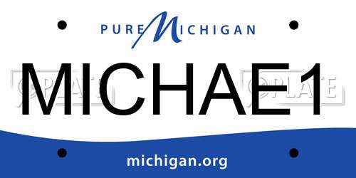 MICHAE1 Michigan License Plate