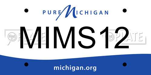 MIMS12 Michigan License Plate