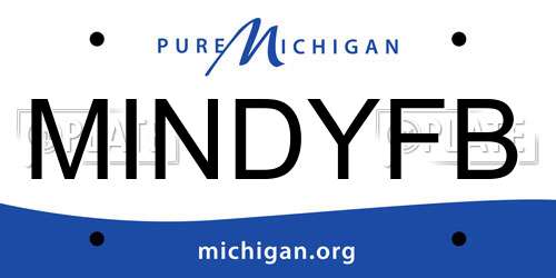 MINDYFB Michigan License Plate