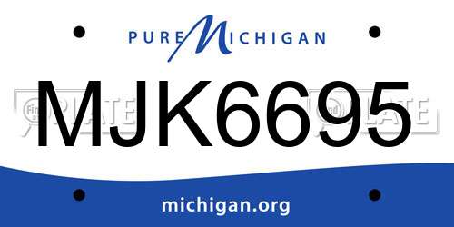 MJK6695 Michigan License Plate