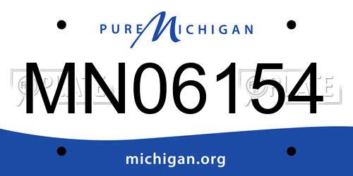 MN06154 Michigan License Plate