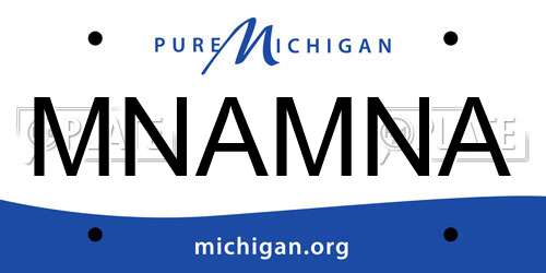MNAMNA Michigan License Plate