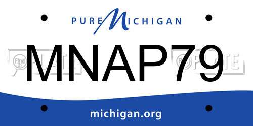 MNAP79 Michigan License Plate