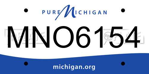 MNO6154 Michigan License Plate