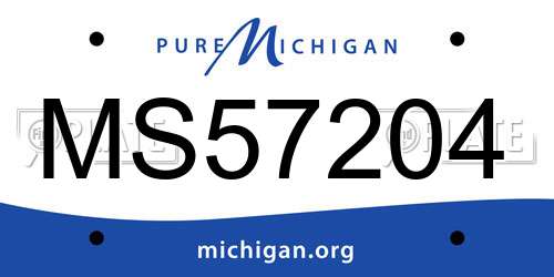 MS57204 Michigan License Plate