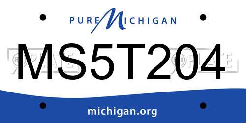 MS5T204 Michigan License Plate