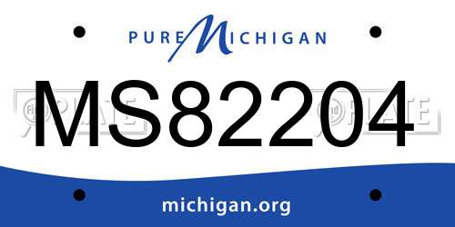 MS82204 Michigan License Plate