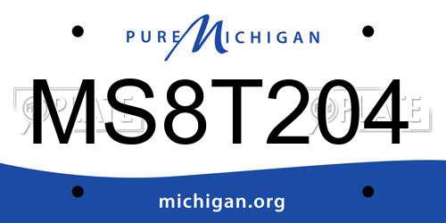MS8T204 Michigan License Plate