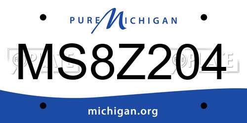 MS8Z204 Michigan License Plate