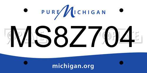 MS8Z704 Michigan License Plate