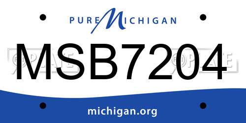 MSB7204 Michigan License Plate