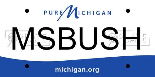 MSBUSH Michigan License Plate
