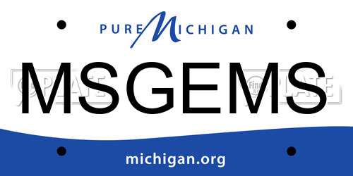 MSGEMS Michigan License Plate