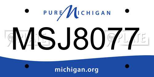 MSJ8077 Michigan License Plate