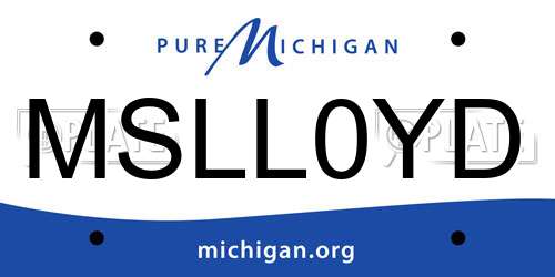 MSLL0YD Michigan License Plate