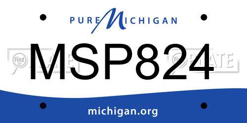 MSP824 Michigan License Plate